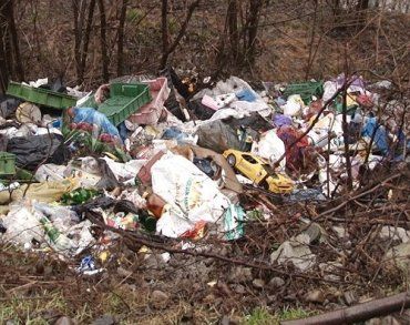 Береги річок на Тячівщині у полоні сміття.