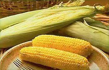 Давление на Венгрию с целью разрешить использование этого сорта генетически модифицированной кукурузы будет продолжаться