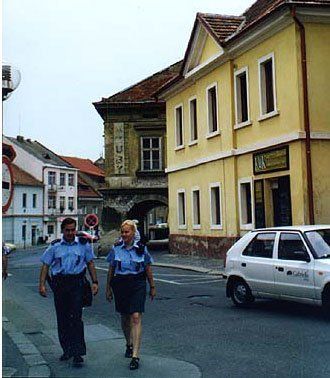Чешские полицейские