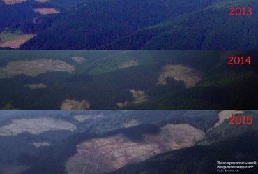 Вот как Карпатские леса изменились за несколько лет...