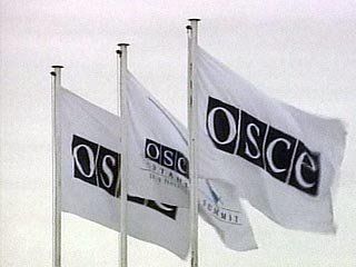 ОБСЕ займется языковым вопросом в Украине