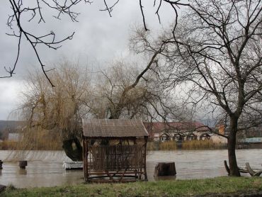 В селе Каменица под Ужгородом Уж подтапливает домохозяйства