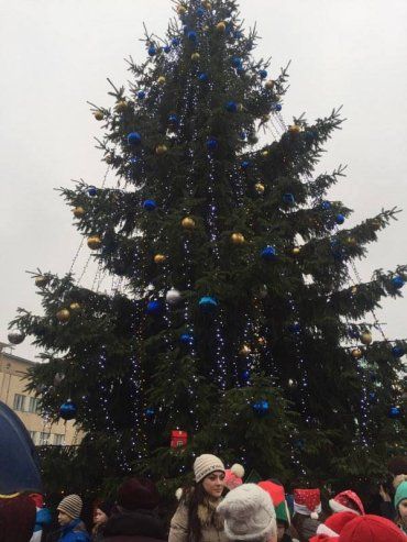 Главную новогоднюю елку в Ужгороде отдадут горожанам на дрова