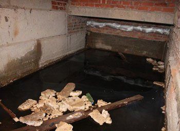 Подвалы домов затоплены канализационными стоками