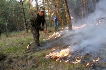 На Закарпатье пресекли 38 случаев нарушений пожарной безопасности в лесах