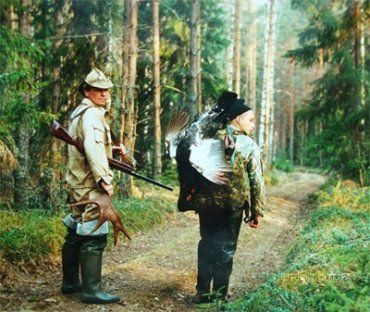 Юрия Луценко возмутили миллионы гектаров лесов в частных руках бизнесменов
