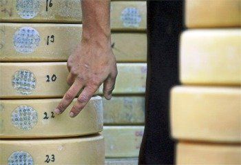 Из-за 186 кг сыра украинец потерял Мерседес