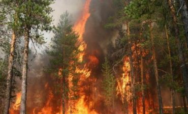 Пожежа просувається в бік Анталовецької поляни