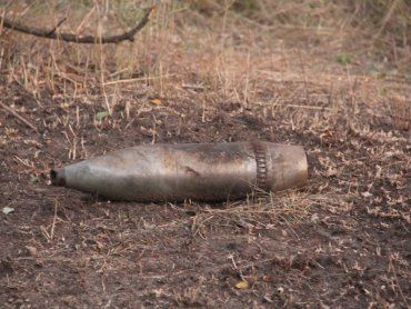 Снаряды обнаружили в лесах Ужгородского района