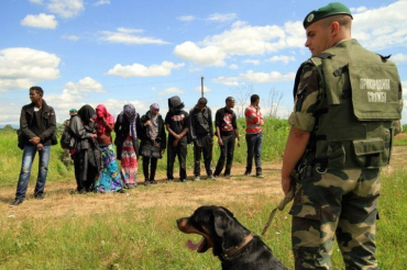 Нелегалы были задержаны пограничным нарядом ВВС «Лужанка»