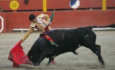 16-летний испанский матадор убил шесть быков за 1 бой