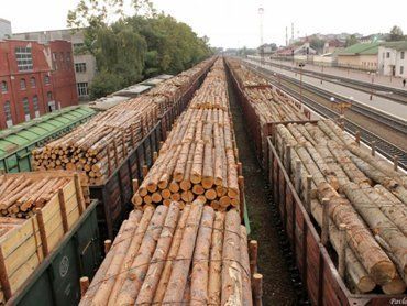 Под видом дров в ЕС пытаются вывезти деловую древесину
