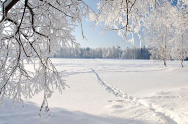 Этой зимой в Украине будет очень тепло