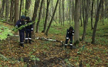 Под Киевом в лесу нашли труп молодой девушки