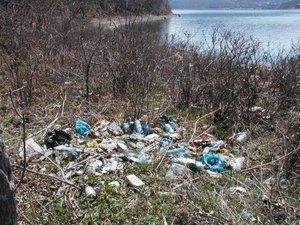 В Венгрии советовались, как защитить воды Тисы от мусора из Закарпатья