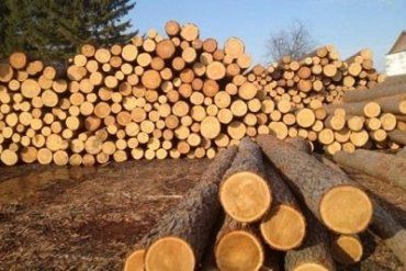 Все украинские леса отдадут Евросоюзу за 600 млн. евро?