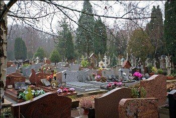 На кладбище "Барвинок" больше негде хоронить ужгородцев