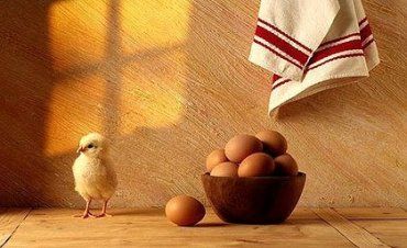 Венгрия. Всемирный день яйца.
