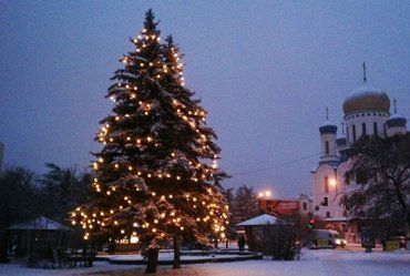 В Ужгороде возле "Украины" засветилась елка