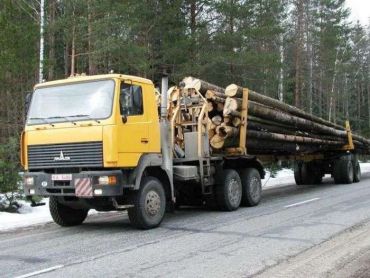 У денний час заборонено рух лісовозів дорогами Берегівщини.