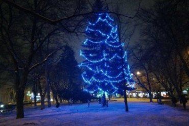 В Ужгороде на площади Петефи засияла новогодняя елка