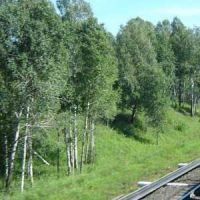 На путях найдено тело проводницы поезда "Одесса–Минск"