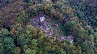 Невицький замок — напівзруйнований замок біля села Кам'яниця на Закарпатті.