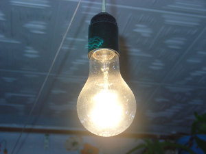 вступил в силу запрет на использование 100-ваттных лампочек накаливания