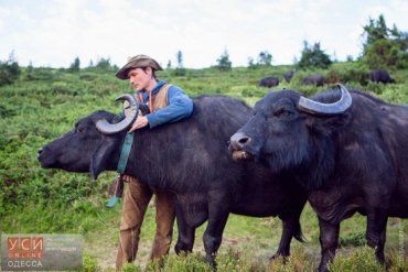 Закарпаття - Одещина. Мішель Якобі вирощує буйволів не перший рік.