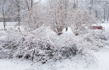 В Закарпатье идет холод со снегом
