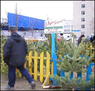 В Киеве будут работать 186 "елочных базаров".