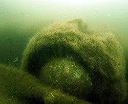 Под Одессой в море нашли немецкий самолет