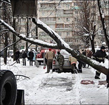 Снегопад натворил в Киеве немало бед