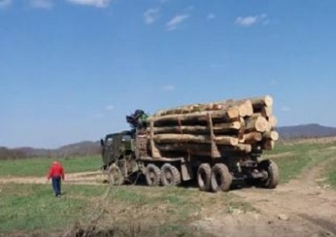 Активисты задержали на Закарпатье лесовоз, который уничтожал природу