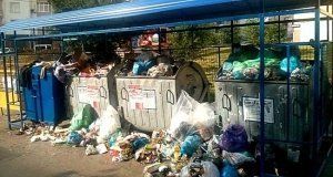 У Львові необхідно очистити ще третину з усіх сміттєвих майданчиків