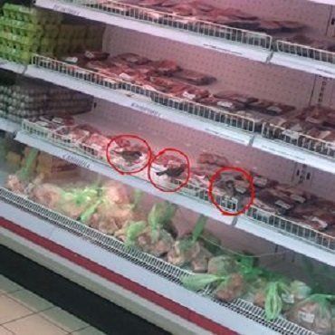 В ужгородском "Вопаке" голодные воробьи на прилавках клюют продукты