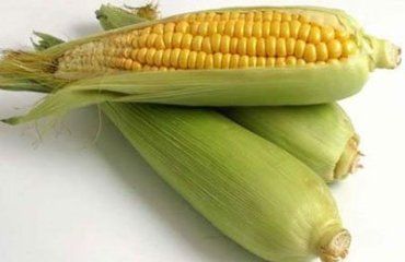 Голоса местных избирателей скупали за полкило элитных семян кукурузы