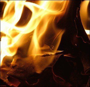 С начала года в Закарпатье уже произошли 72 пожара