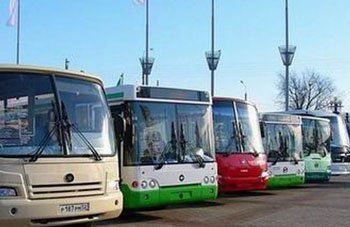 Из-за непогоды 27 автобусов не вышли на маршруты