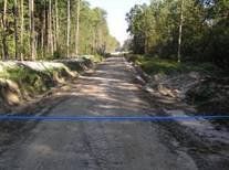 Вперше в Україні розроблено модельну концепцію транспортного освоєння лісів