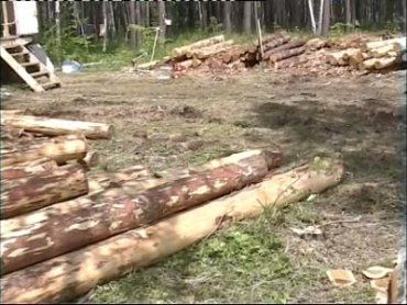 Закарпатские лесники нарушили законы вырубки лесов