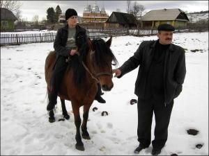 Среди предков "гуцуликов" называют дикого коня тарпана и монгольских коней