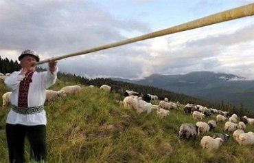 6 мая в Закарпатье пройдет традиционный праздник проводов овцеводов