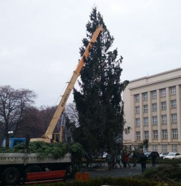 Главная елка края прибыла в Ужгород