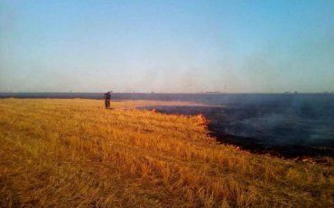 Масштабна пожежа розгулялася неподалік від Миколаєва