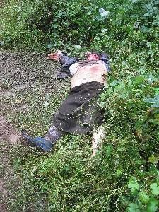 В Мукачевском районе найден в лесу труп