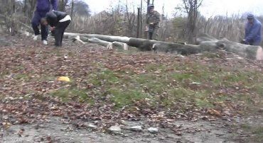 Сільській голова на Мукачівщині особисто різав шкільне дерево.