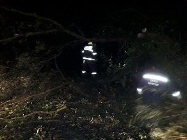 Спасатели работают над ликвидацией последствий урагана на Закарпатье