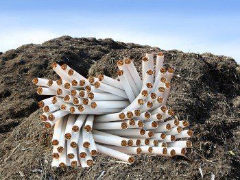 В Словакии нашли 1500 блоков сигарет, спрятанных контрабандистами из Закарпатья