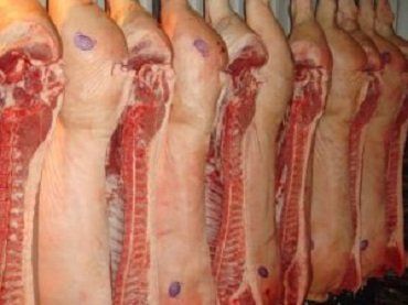 Беларусь из-за африканской чумы отказалась покупать мясо из Закарпатья